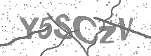 visual captcha